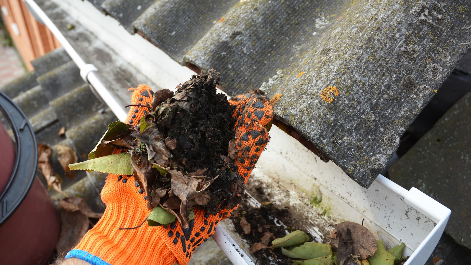 Gutter Cleaning