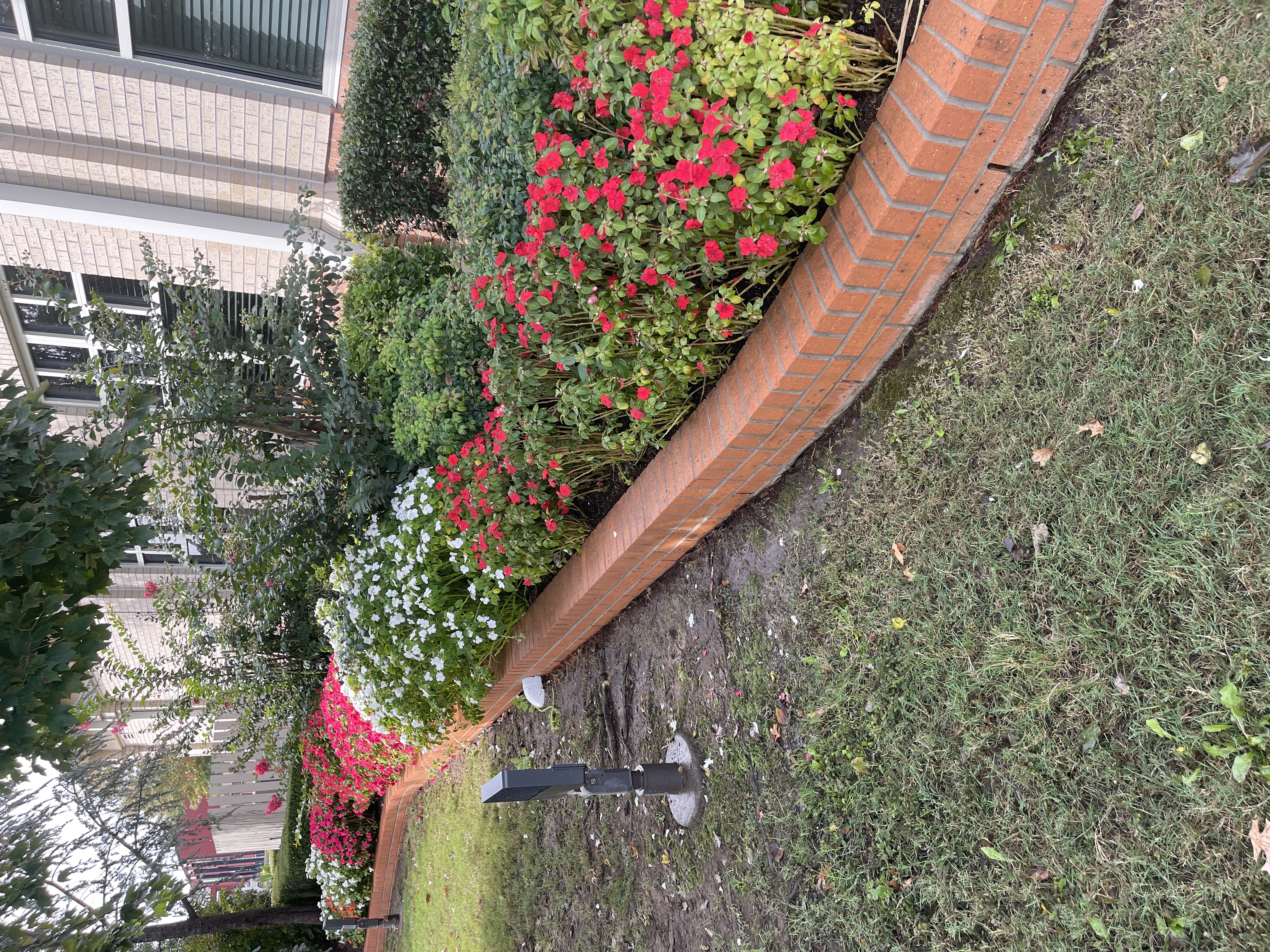 Cleaning flower beds at Armstrong bank in Gore Oklahoma 