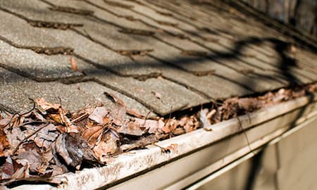 Gutter Cleaning